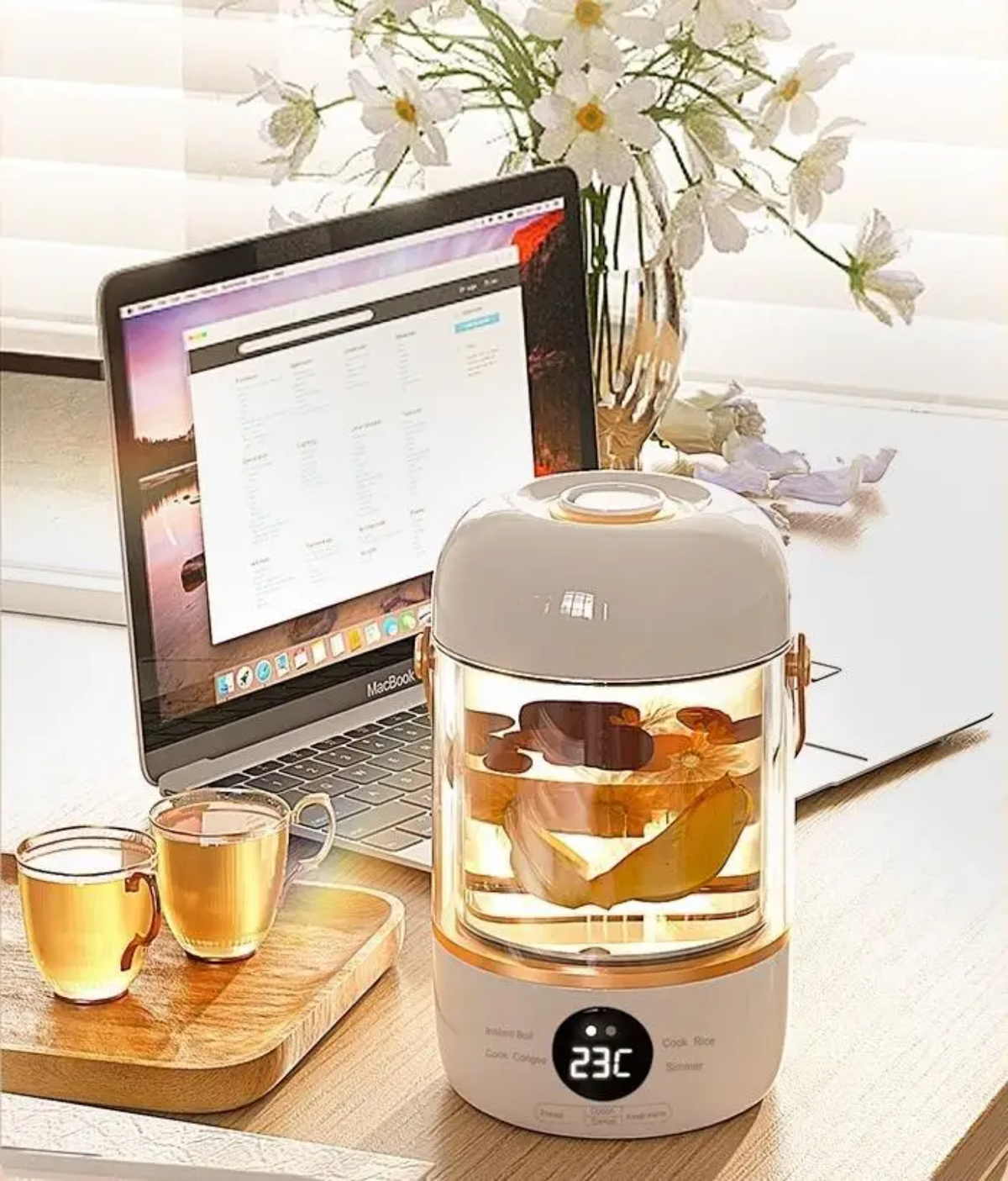 Multi-Functional Smart Electric Health Stew Pot & Portable Slow Cooker